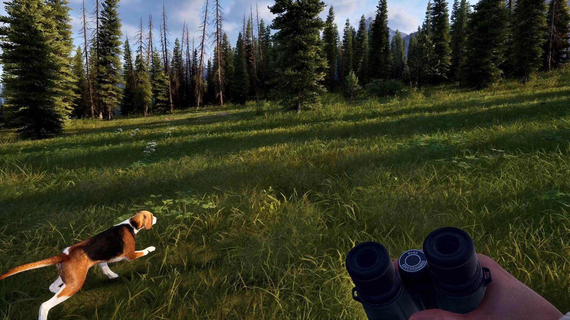 Ak� je early access Way of the Hunter 2?